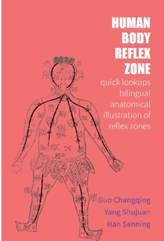 HUMAN BODY REFLEX ZONE QUICK LOOKUPS BILINGUAL ANATOMICAL ILLUSTRATION OF REFLEX ZONE